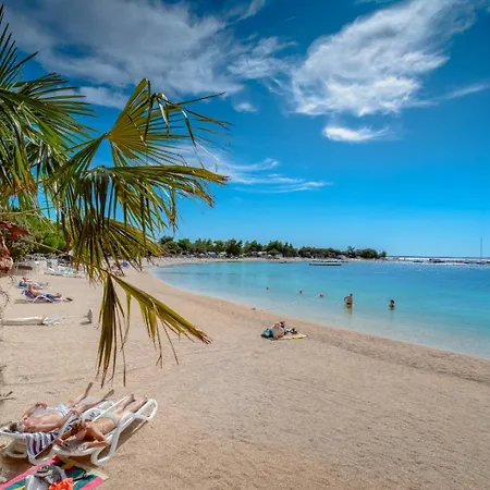 Danica بيت للعطل *